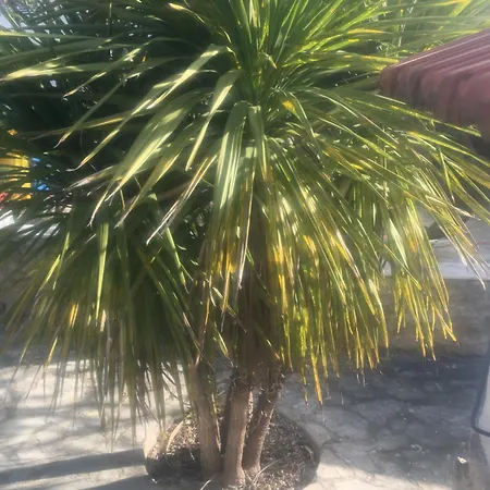 Feriendomizil Moll * Bilice