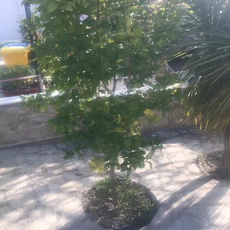 Feriendomizil Moll Apartamento *