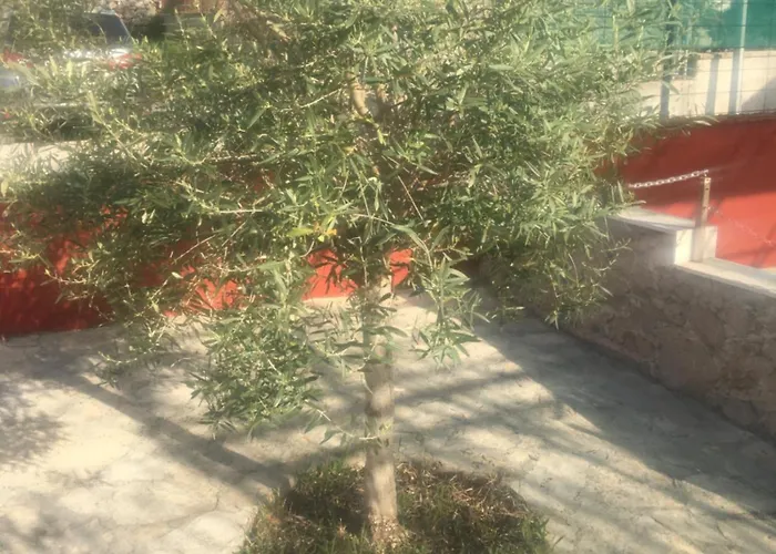 Apartment Feriendomizil Moll