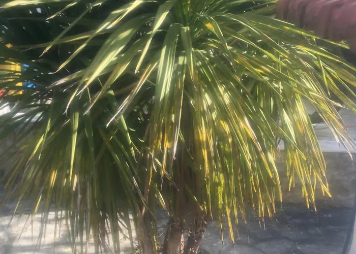 Feriendomizil Moll * Bilice